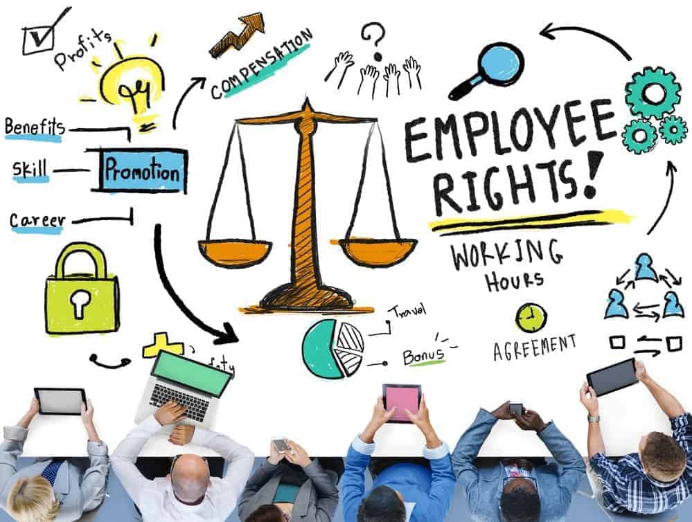 Federal Employment Laws Do They Apply To You ELH HR4Sight