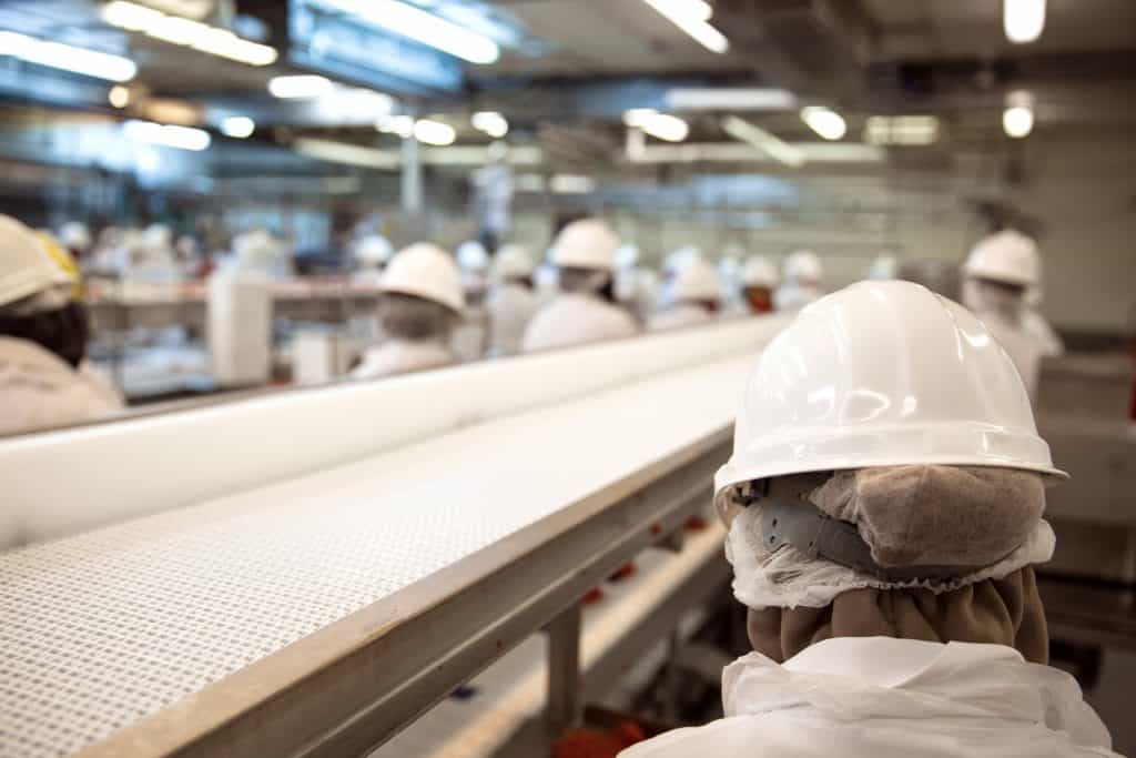 How did ICE Target Mississippi Food Processing Plants for Raids