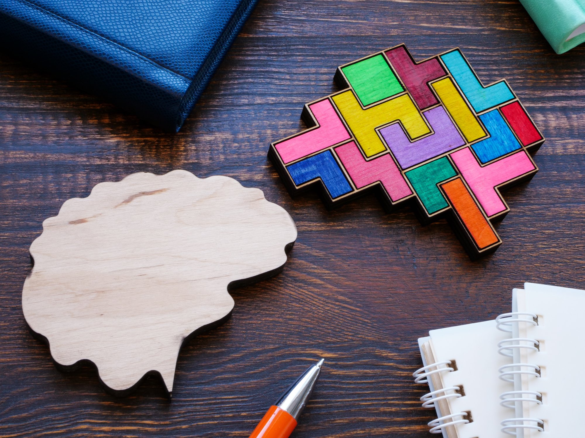 Two different brains as a symbol of neurodiversity or creativity.
