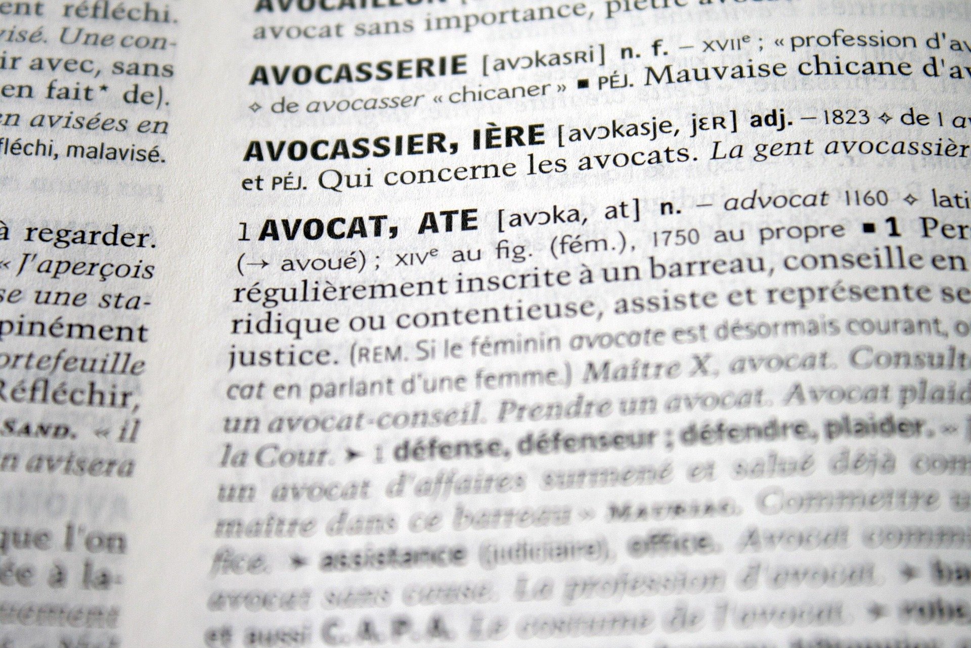 Dictionary image of advocate