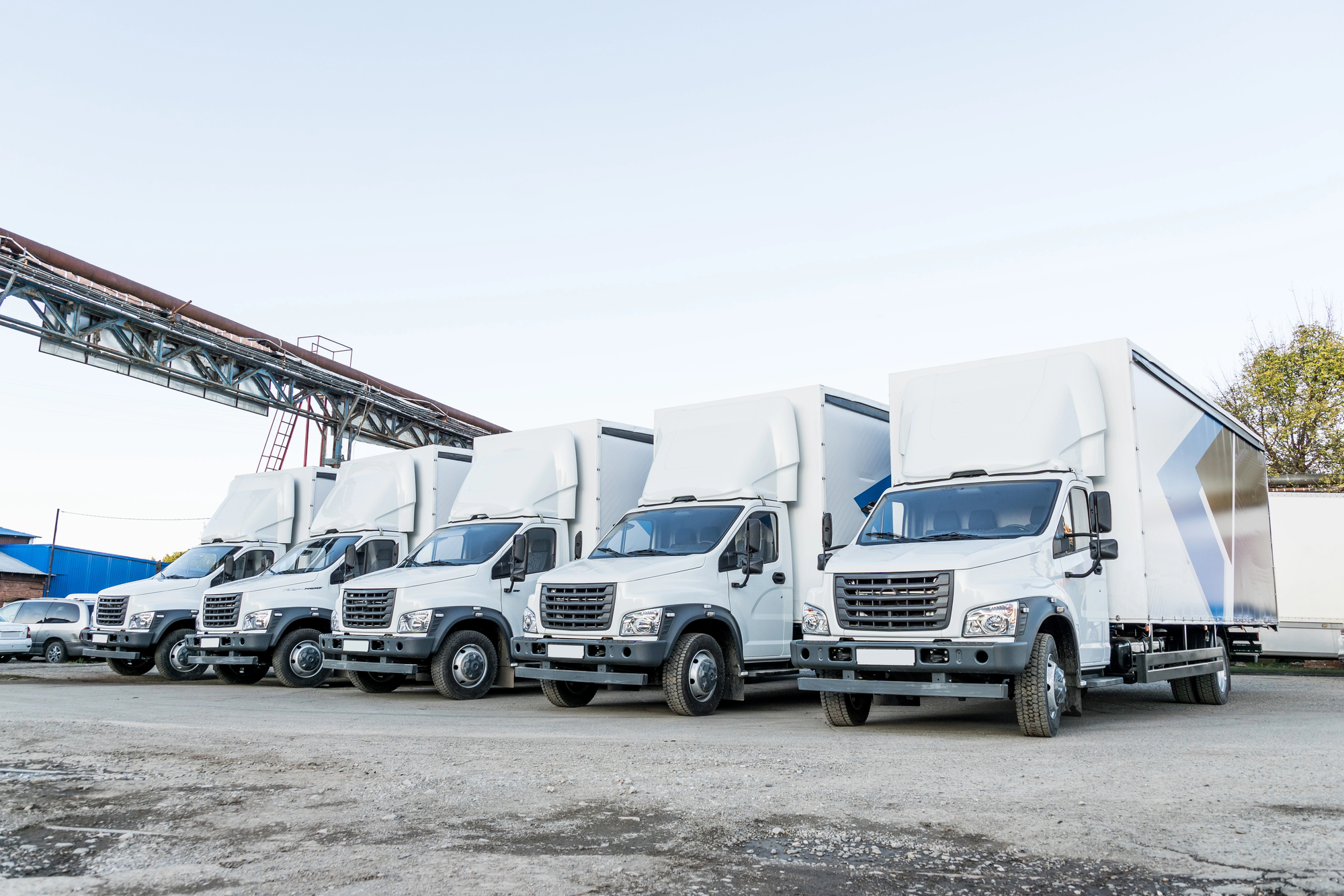 Five new white trucks ready for departure are parked