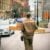 man in brown jacket beside car