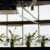 How Florida Outdoor Workers Should Document Heat Illness 4 Potted Plants Near Glass Windows