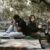 The 10 Best Sacramento Child Custody Attorneys You Should Know in 2026 8 A couple sits back to back on a wooden bench