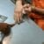 When Accusations Involve Children: How Michigan Defense Attorneys Approach the Most Serious Charges 6 Close-up of fingerprinting during a criminal investigation with handcuffed individual